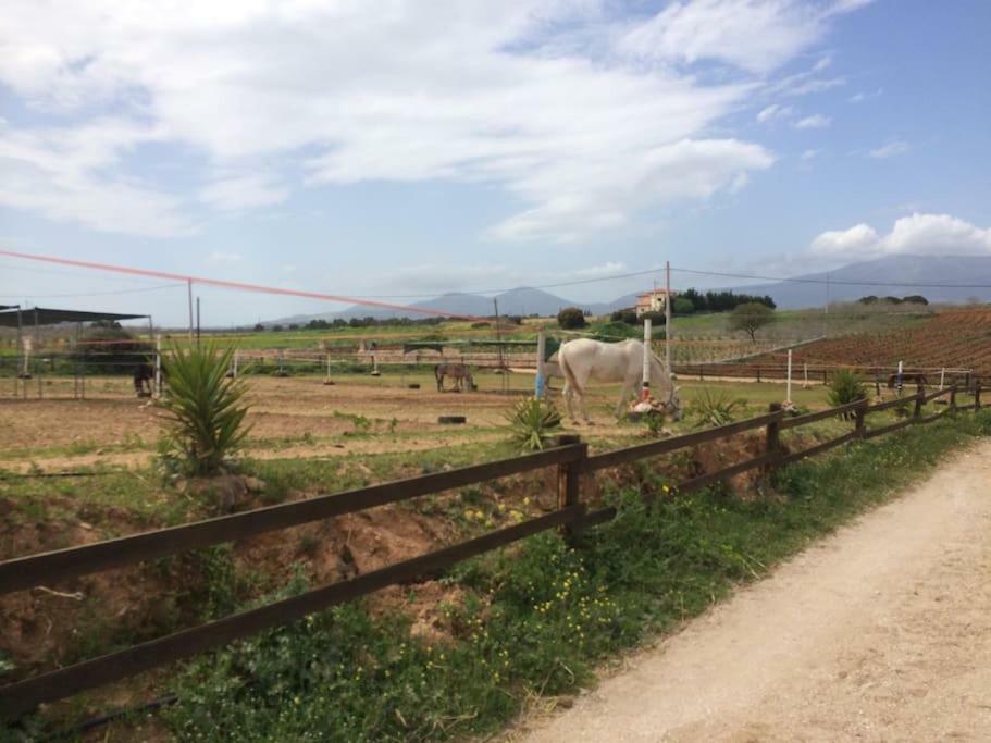 Country Rooms Near Athens - Airport Vravrona Exterior foto