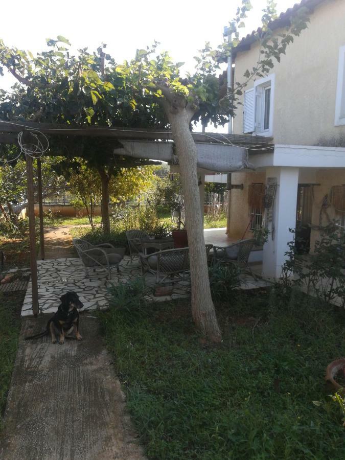 Country Rooms Near Athens - Airport Vravrona Exterior foto